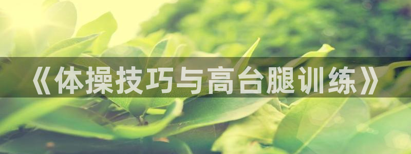 风速体育nba直播