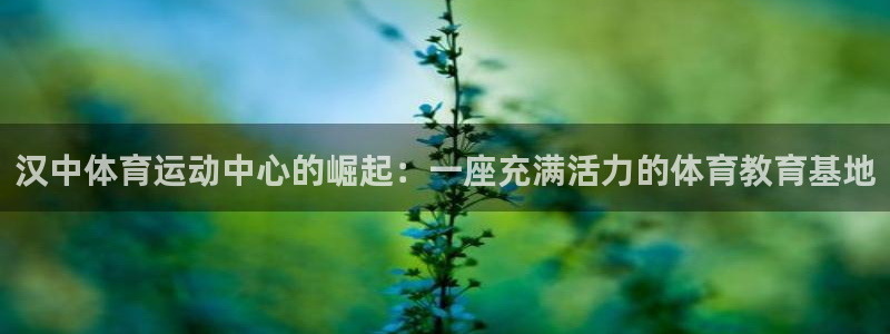 风速体育
