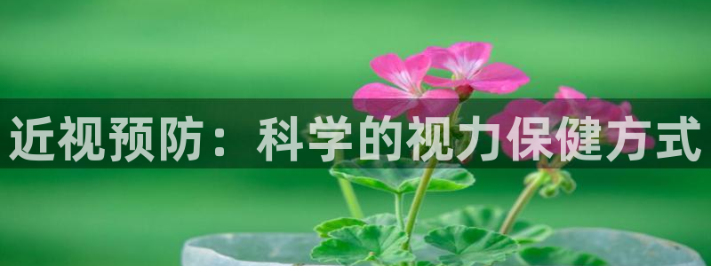风速体育直播app