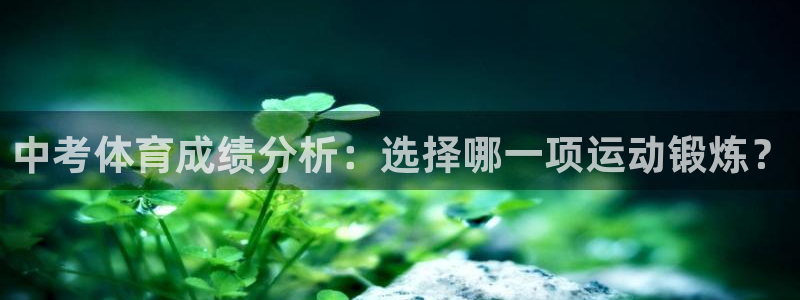 风速体育