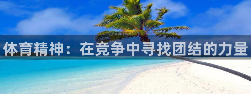 风速体育cba直播