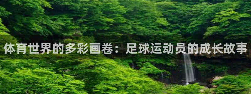 风速体育