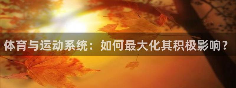 风速体育官网
