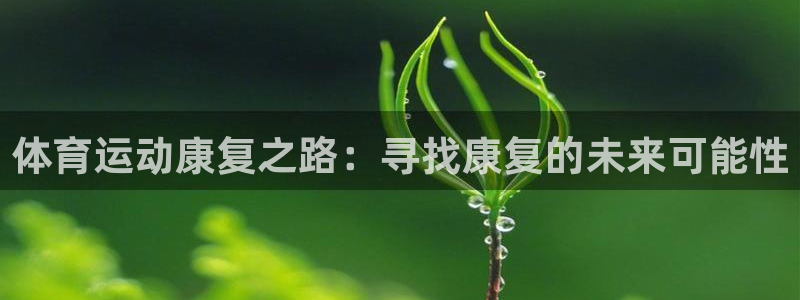 风速体育app
