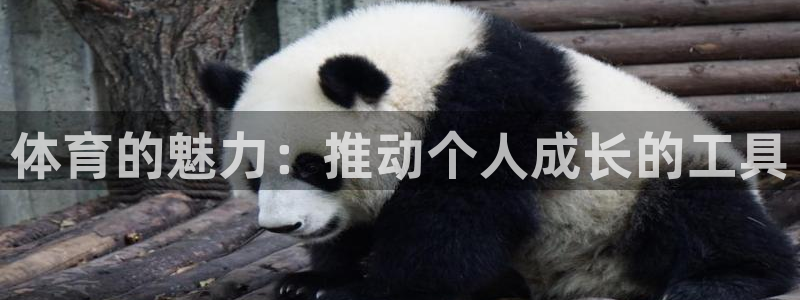 风速体育nba直播