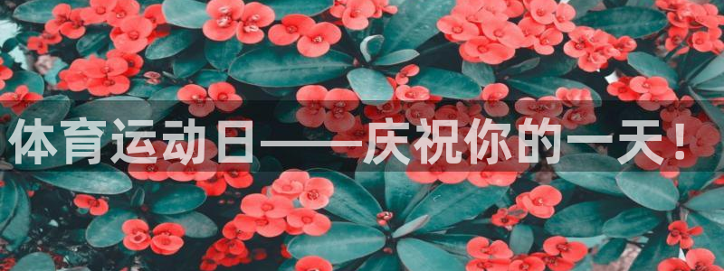 风速体育app