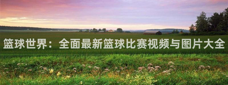 风速体育