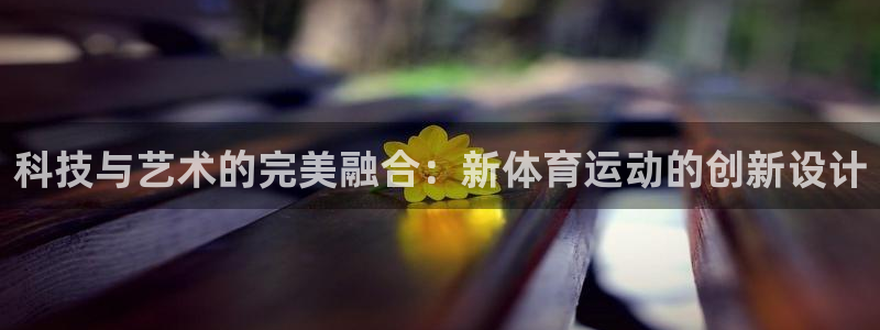 风速体育app