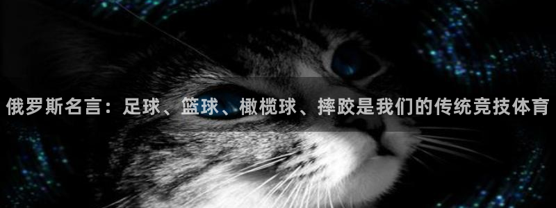风速体育app下载官网最新版